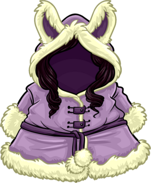 CosyWinterCoat.png