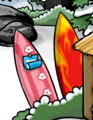 The surfboards at the Cove.