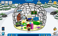 Snow Igloo
