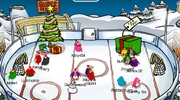 The Ice Rink