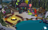 The Cove