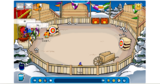 The Ice Rink