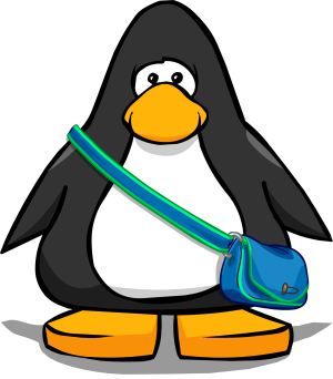 SkateSatchel2.PNG
