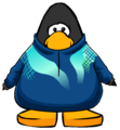 The Cool Ski Suit on a player card.