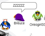 Is it time to Sleep? Breuce, awake now!