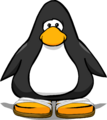The Cotton Sandals on a player card.