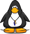 The Nautical Necklace on a player card.