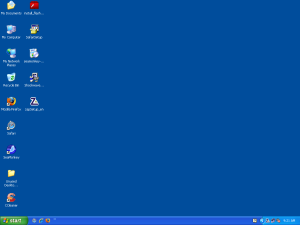 Sk8rbluscat-Desktop.PNG