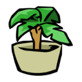 Houseplant