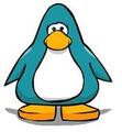 What Aqua looked like during the vote.