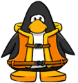 The Life Jacket on a player card.