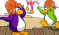Two penguins wearing Squid Lid.