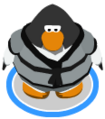 The Tranquility Robe in-game.