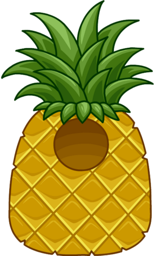 PineappleCostume.png