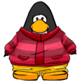 The Pink Sled Coat on a player card.