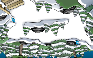 AF08forest.PNG