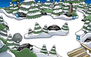 Forest.png