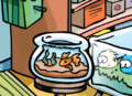 A Goldfish in a bowl at the old Pet Shop.