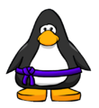 The Purple Ninja Belt on a player card.