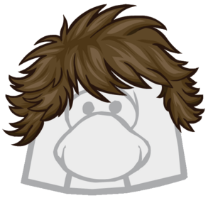 TheFlip.png