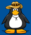 The hat on a player card
