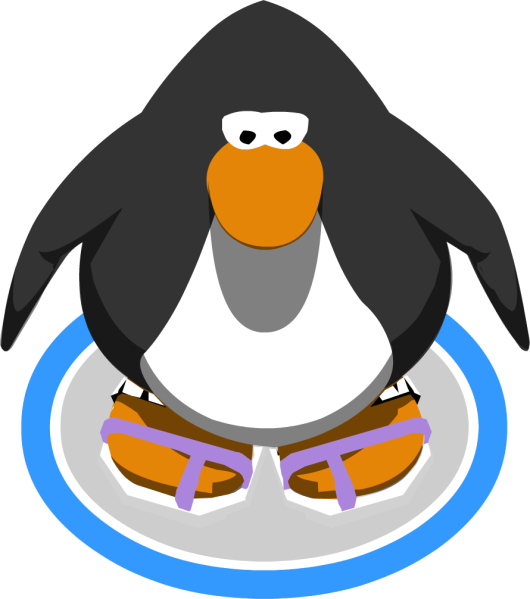 File:GlitzySandals1.png