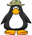 The Fishing Hat on a player card.