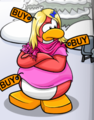The Pink Shirt in the February 2009 Clothing Catalog.