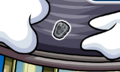 Where the pin is located.