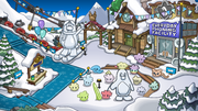 The Ski Village