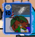 Example of a Snow Card.