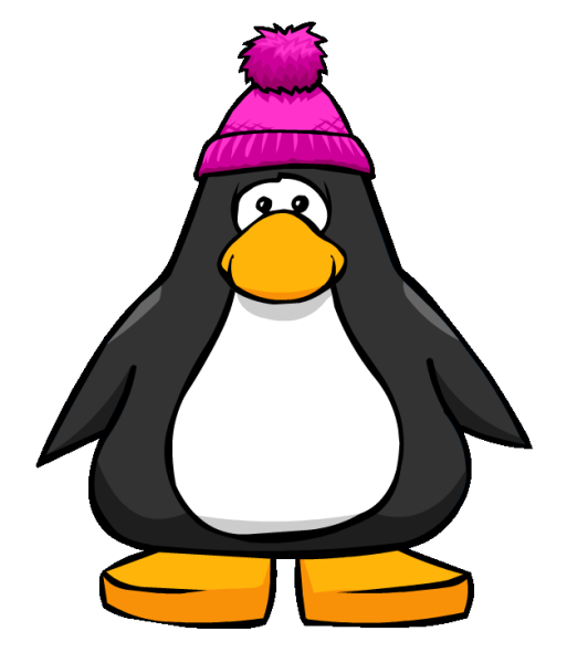File:PinkPomPomToque1.png