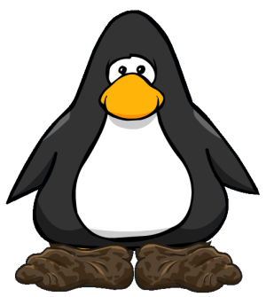 VillagerShoes2.png
