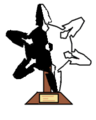 I am an ninjant (ninja+agent)