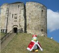 A king penguin near a castle.
