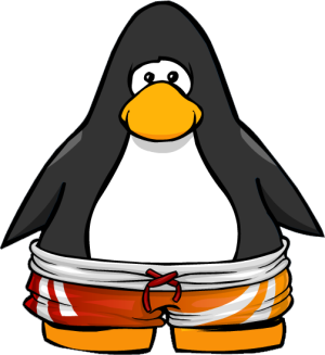 SunsetSurfShorts2.PNG