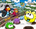A green puffle on a Club Penguin wallpaper.