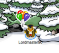 The pin's location.