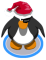 The Jolly Roger Hat in-game.