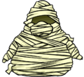 Mummy Costume