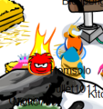 The Black Puffle spotted at the Forest.