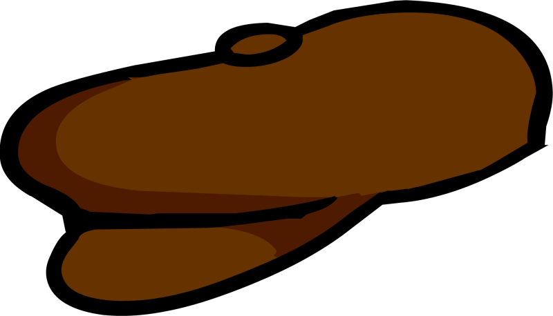 File:DirectorsHat.png