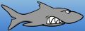 The Shark seen on Ice Fishing.