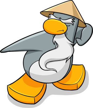 SenseiNinja.png