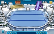 The Ice Rink