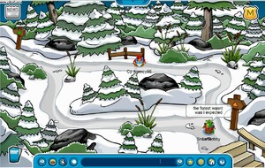 Forest-camp.jpg