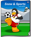 Snow and Sports