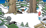 The Forest