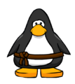 The Brown Ninja Belt on a player card.