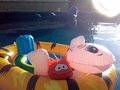 A red puffle relaxing on an inner tube.